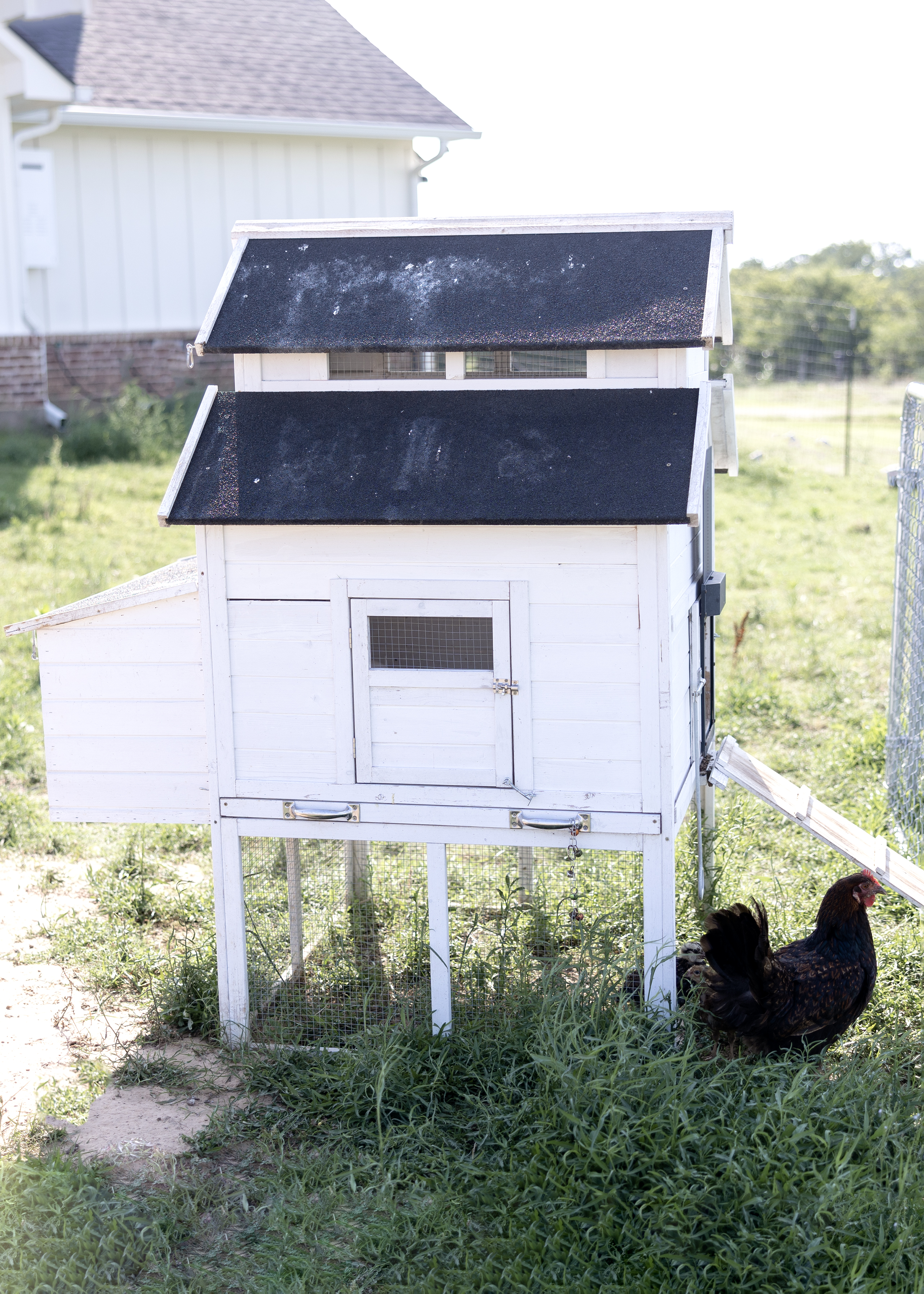 Beginner Chicken Coop