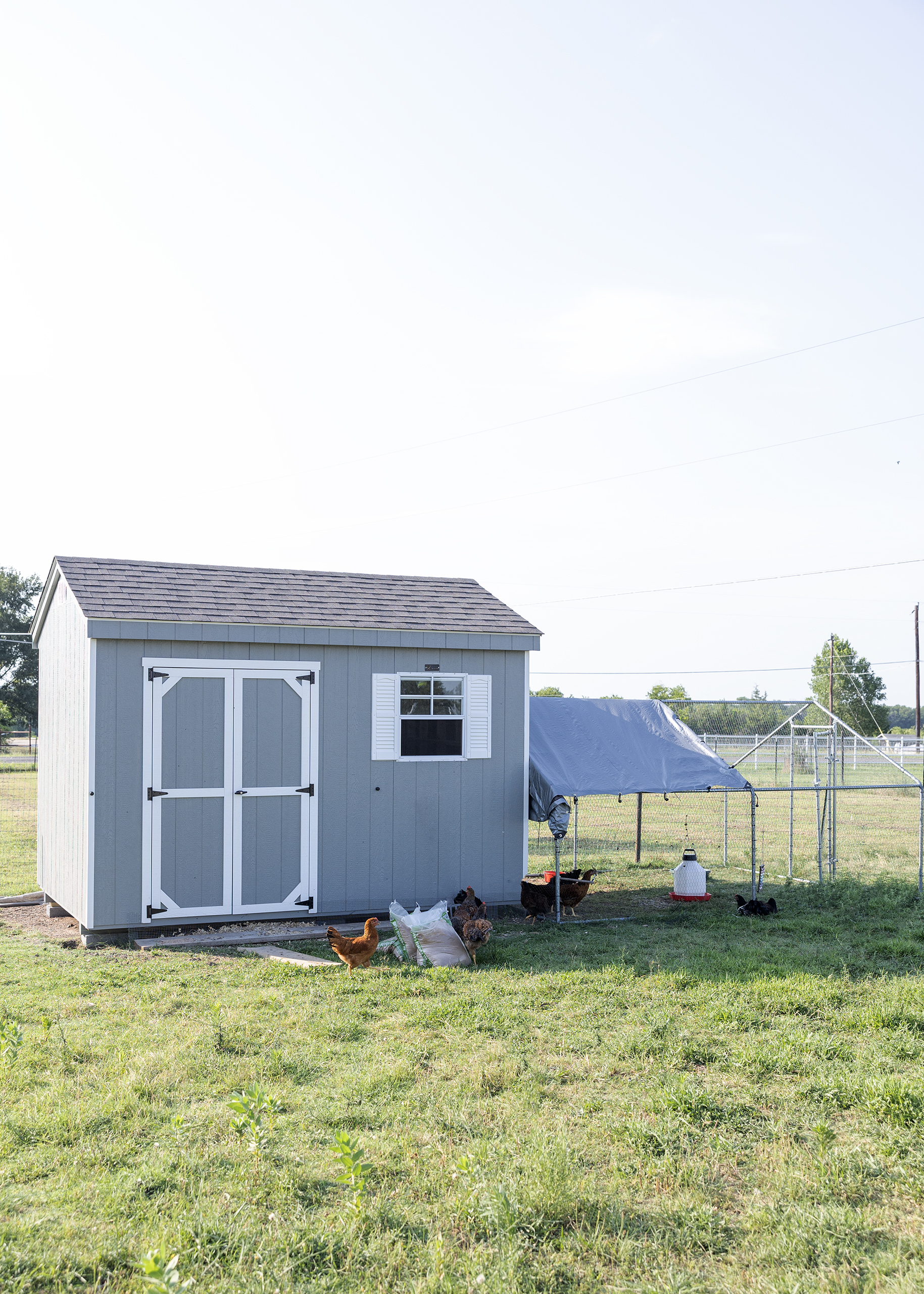 Beginner Chicken Coop